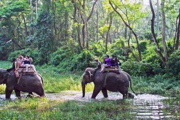 Jungle sufari in Chitwan National Park